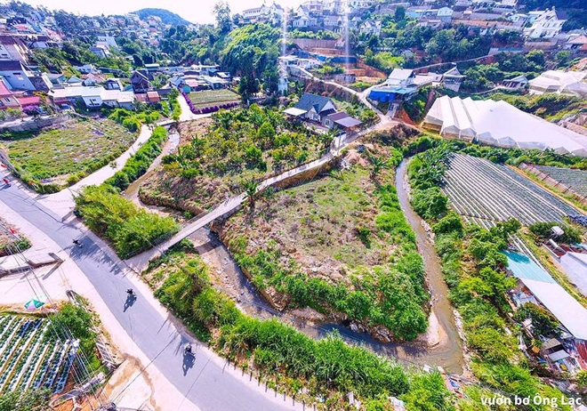 Cô gái 9X nghỉ học đại học chuyển sang làm vườn, mời khách lạ về trồng cây - 1 Cô gái 9X nghỉ học đại học chuyển sang làm vườn, mời khách lạ về trồng cây - 1