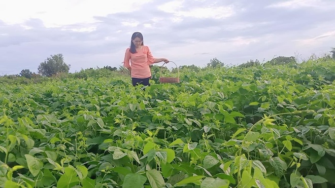 Ông bố gà trống nuôi con làm mảnh vườn gần 4.000m2 ở Bình Thuận - 12 Ông bố gà trống nuôi con làm mảnh vườn gần 4.000m2 ở Bình Thuận - 12