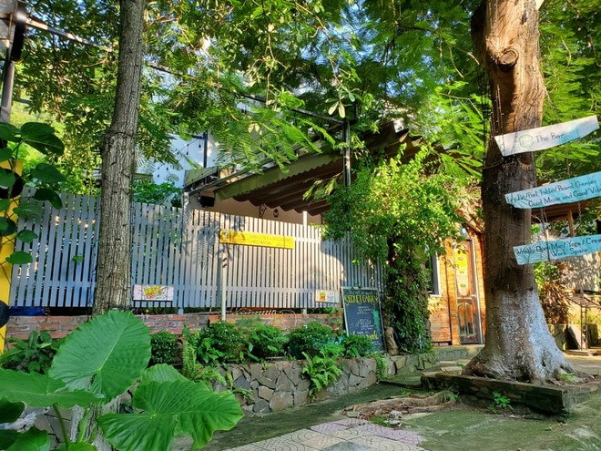 Mở lại du lịch nội tỉnh, điểm đến Cát Bà liệu có thoát cảnh đìu hiu? - 4 Mở lại du lịch nội tỉnh, điểm đến Cát Bà liệu có thoát cảnh đìu hiu? - 4