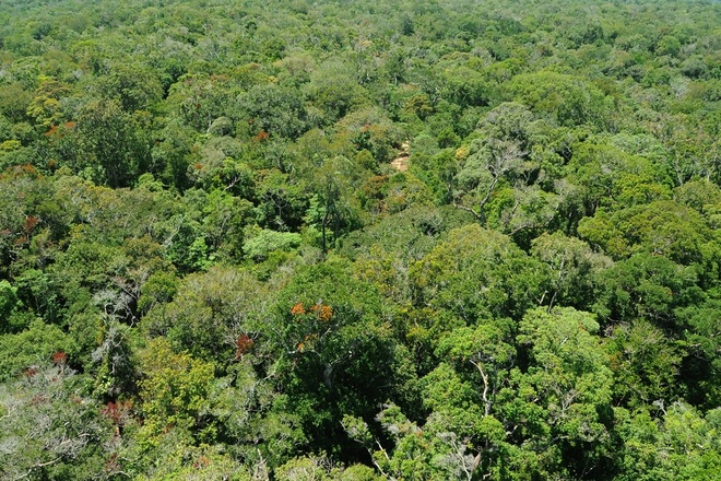 Ngắm khu dự trữ sinh quyển thế giới ở Việt Nam mới được UNESCO công nhận - 2