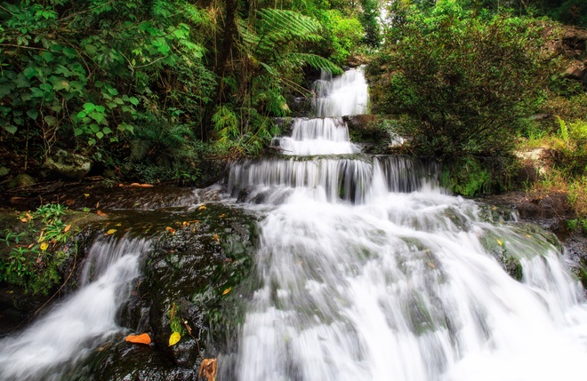 See the world biosphere reserve in Vietnam newly recognized by UNESCO - 6