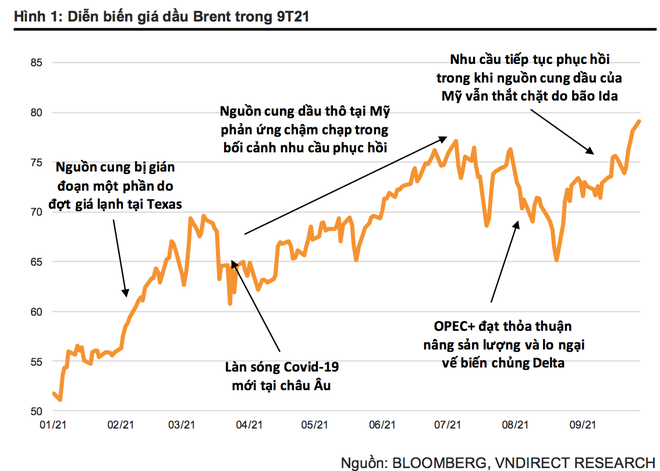 Cơn điên của giá dầu có thể đi tới đâu? - 1
