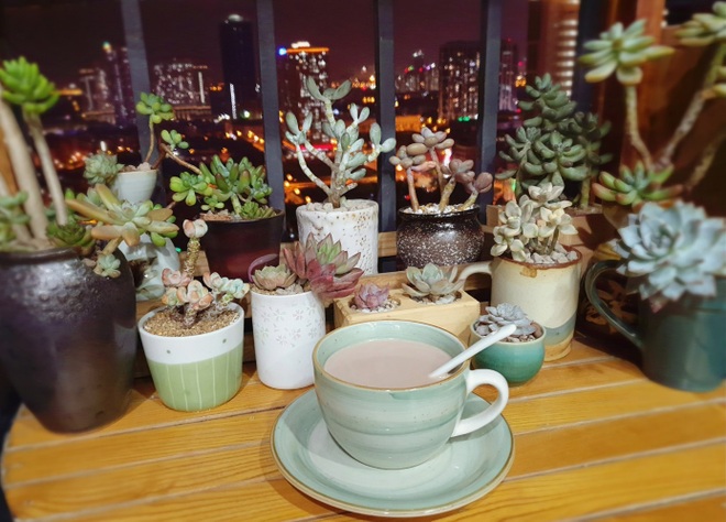 Mãn nhãn với vườn sen đá quý hiếm trên ban công 6m2 của mẹ đảm Hà thành - 10 Mãn nhãn với vườn sen đá quý hiếm trên ban công 6m2 của mẹ đảm Hà thành - 10