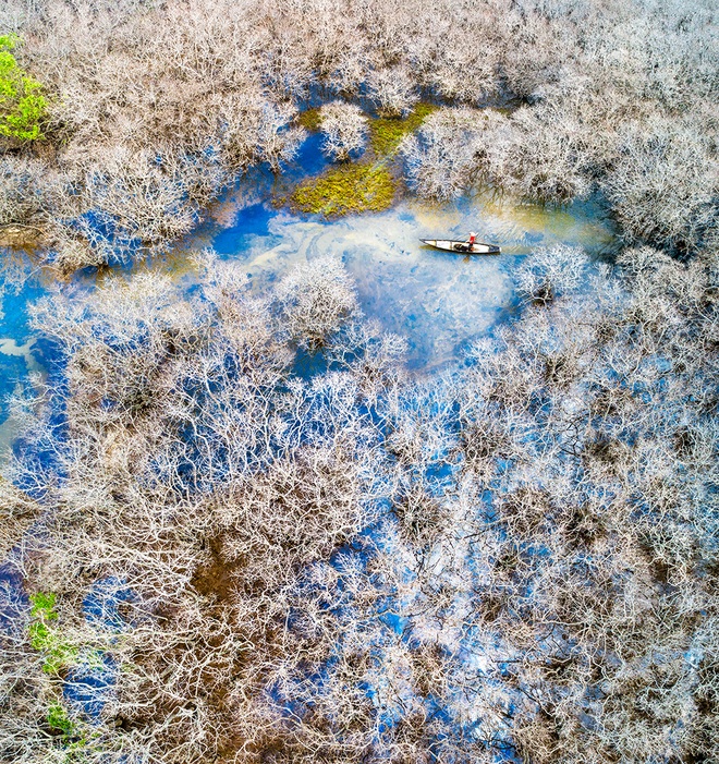 Đẹp nao lòng mùa thu tại rừng nước mặn chuyển màu lạ kỳ xứ Huế - 3
