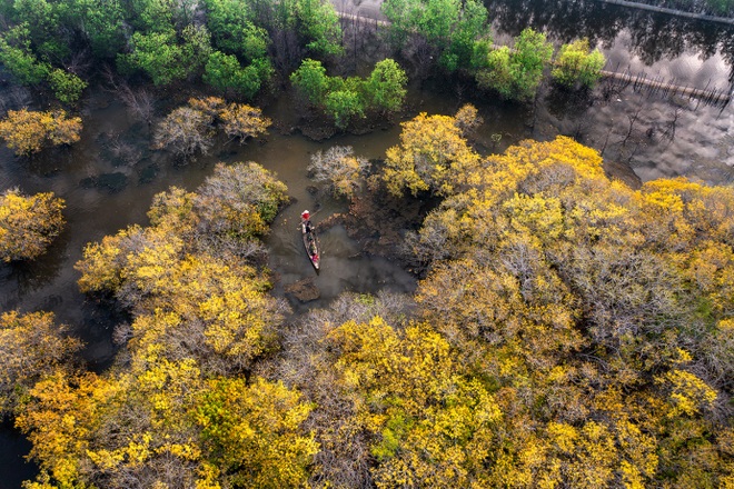 Đẹp nao lòng mùa thu tại rừng nước mặn chuyển màu lạ kỳ xứ Huế - 11