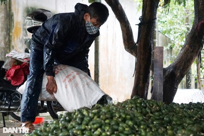 Kiếm hàng trăm triệu đồng mỗi tháng từ những trái cau khô - 3 Kiếm hàng trăm triệu đồng mỗi tháng từ những trái cau khô - 3