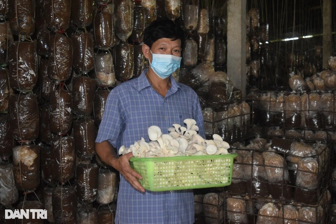 Kinh doanh: Kiếm tiền tỷ nhờ câu chuyện đi tìm nấm chữa bệnh cho bố