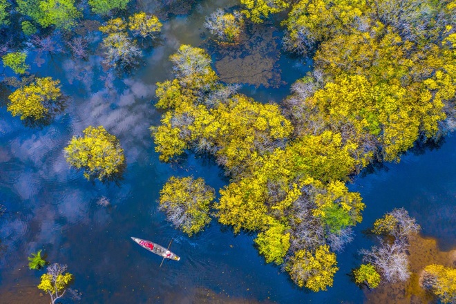 Đẹp nao lòng mùa thu tại rừng nước mặn chuyển màu lạ kỳ xứ Huế - 1