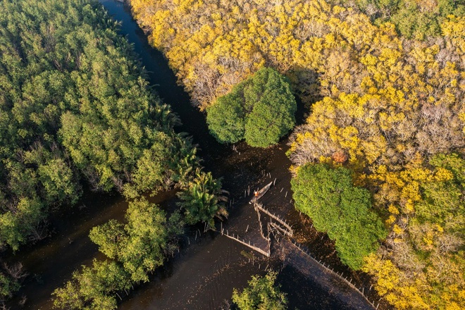 Đẹp nao lòng mùa thu tại rừng nước mặn chuyển màu lạ kỳ xứ Huế - 10