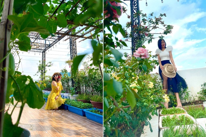 Vợ chồng Hà Nội vác 100 bao đất lên sân thượng, làm vườn hữu cơ xanh mướt - 7 Vợ chồng Hà Nội vác 100 bao đất lên sân thượng, làm vườn hữu cơ xanh mướt - 7
