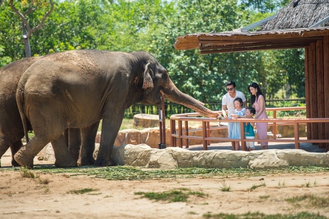 Một ngày vào vai nhà động vật học giữa thiên đường hoang dã Vinpearl Safari - 2 Một ngày vào vai nhà động vật học giữa thiên đường hoang dã Vinpearl Safari - 2