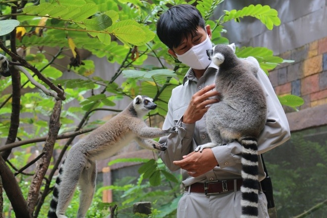 Một ngày vào vai nhà động vật học giữa thiên đường hoang dã Vinpearl Safari - 3 Một ngày vào vai nhà động vật học giữa thiên đường hoang dã Vinpearl Safari - 3