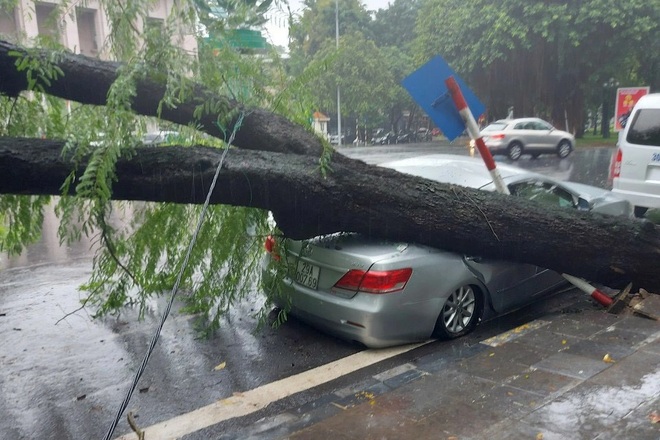 Cây me cổ thụ bật gốc đè bẹp xe Camry trong cơn mưa lớn ở Hà Nội - 3 Cây me cổ thụ bật gốc đè bẹp xe Camry trong cơn mưa lớn ở Hà Nội - 3
