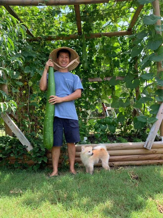 Chàng trai gốc Việt làm vườn 300m2, trồng ớt và hoa hồng ở Mỹ - 12