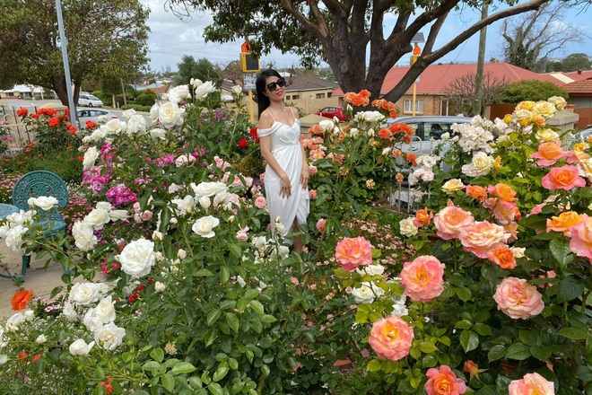 Vợ chồng Việt biến sân 60m2 tại Úc thành công viên hoa hồng ấn tượng - 9