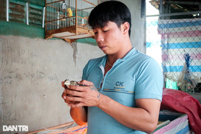 Đánh liều nuôi chim lạ, thanh niên 9X thu hàng triệu đồng mỗi tháng - 3 Đánh liều nuôi chim lạ, thanh niên 9X thu hàng triệu đồng mỗi tháng - 3