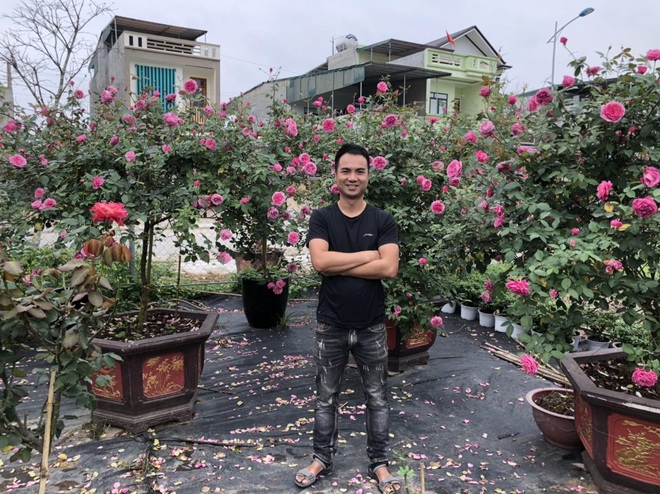 Gia chủ Thanh Hóa làm vườn hồng hơn trăm gốc tặng người thân - 1 Gia chủ Thanh Hóa làm vườn hồng hơn trăm gốc tặng người thân - 1