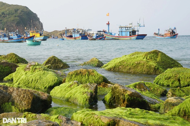 Hoang sơ những gành đá, du khách nhìn là muốn check- in sống ảo - 10