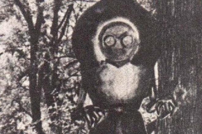 Flatwoods Monsters - criaturas alienígenas que se han encontrado con humanos - 2