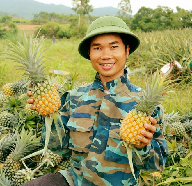 Bỏ công việc lái tàu, chàng trai xứ Nghệ về quê làm giàu từ trái dứa - 1 Bỏ công việc lái tàu, chàng trai xứ Nghệ về quê làm giàu từ trái dứa - 1