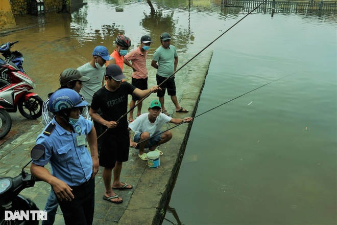 Young people check in Hoi An ancient town in flood season - 7