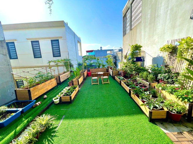 Tận dụng đồ cũ, mẹ đảm Hải Phòng làm vườn đẹp như tranh trên nóc nhà - 2 Tận dụng đồ cũ, mẹ đảm Hải Phòng làm vườn đẹp như tranh trên nóc nhà - 2