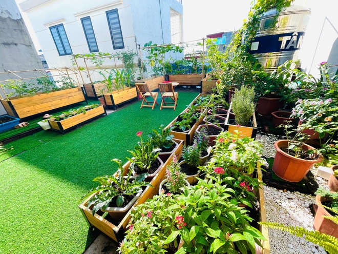 Tận dụng đồ cũ, mẹ đảm Hải Phòng làm vườn đẹp như tranh trên nóc nhà - 4 Tận dụng đồ cũ, mẹ đảm Hải Phòng làm vườn đẹp như tranh trên nóc nhà - 4