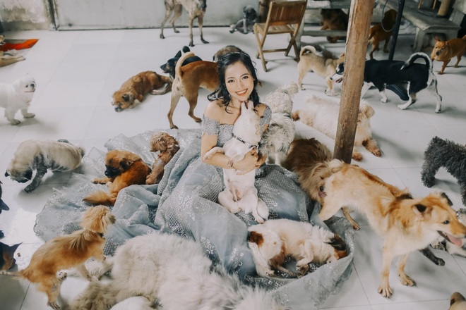 Chuyện chưa kể về cô gái 9X làm mẹ đỡ đầu của 1.500 chó, mèo hoang - 1 Chuyện chưa kể về cô gái 9X làm mẹ đỡ đầu của 1.500 chó, mèo hoang - 1