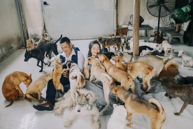 Chuyện chưa kể về cô gái 9X làm mẹ đỡ đầu của 1.500 chó, mèo hoang - 5 Chuyện chưa kể về cô gái 9X làm mẹ đỡ đầu của 1.500 chó, mèo hoang - 5
