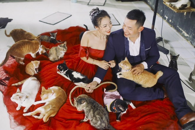Chuyện chưa kể về cô gái 9X làm mẹ đỡ đầu của 1.500 chó, mèo hoang - 6 Chuyện chưa kể về cô gái 9X làm mẹ đỡ đầu của 1.500 chó, mèo hoang - 6
