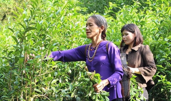 Thu nhập của người nghèo tăng hơn 2 lần trong 5 năm qua - 3 Thu nhập của người nghèo tăng hơn 2 lần trong 5 năm qua - 3