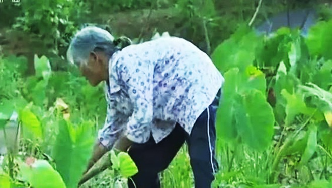 Chàng 24 chụp ảnh cưới cùng bà 85 tuổi và điều xúc động phía sau - 2 Chàng 24 chụp ảnh cưới cùng bà 85 tuổi và điều xúc động phía sau - 2