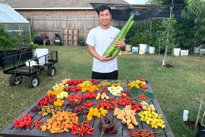 Trào lưu làm vườn, trồng cây gia vị hiếm có khó tìm của các ông bố Việt - 9 Trào lưu làm vườn, trồng cây gia vị hiếm có khó tìm của các ông bố Việt - 9