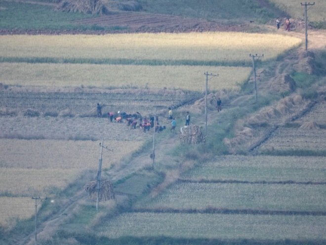 Những bức ảnh hiếm về cuộc sống ở vùng nông thôn Triều Tiên - 1