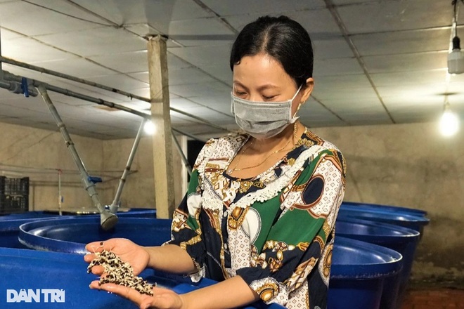 Cho giá đậu nằm bồn, ngủ máy lạnh nữ nông dân kiếm 300 triệu đồng mỗi năm - 1 Cho giá đậu nằm bồn, ngủ máy lạnh nữ nông dân kiếm 300 triệu đồng mỗi năm - 1