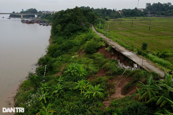 Hà Nội: Xuất hiện nhiều vị trí sạt lở đê nghiêm trọng ven bờ sông Hồng - 9