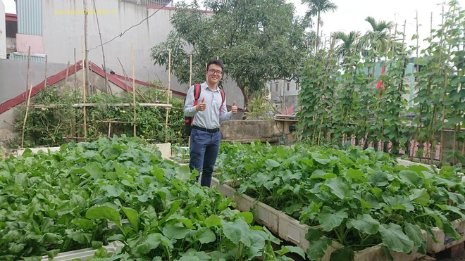 Chăm ba khu vườn sân thượng, 9X Hải Phòng có rau trái sạch dùng quanh năm - 13 Chăm ba khu vườn sân thượng, 9X Hải Phòng có rau trái sạch dùng quanh năm - 13