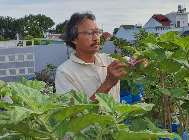 Lão nông Bình Dương đưa cây lên mái, làm vườn trĩu cành đẹp mê - 15 Lão nông Bình Dương đưa cây lên mái, làm vườn trĩu cành đẹp mê - 15