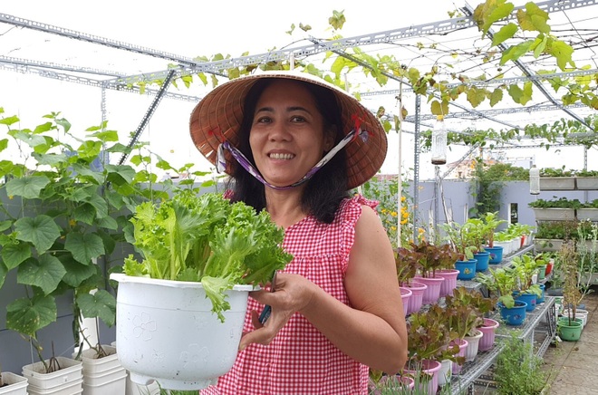 Lão nông Bình Dương đưa cây lên mái, làm vườn trĩu cành đẹp mê - 16 Lão nông Bình Dương đưa cây lên mái, làm vườn trĩu cành đẹp mê - 16