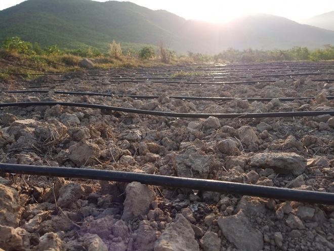 Nhóm 9X về quê khởi nghiệp: Làm việc từ tinh mơ, chọn rủi ro cao để dẫn đầu - 3 Nhóm 9X về quê khởi nghiệp: Làm việc từ tinh mơ, chọn rủi ro cao để dẫn đầu - 3
