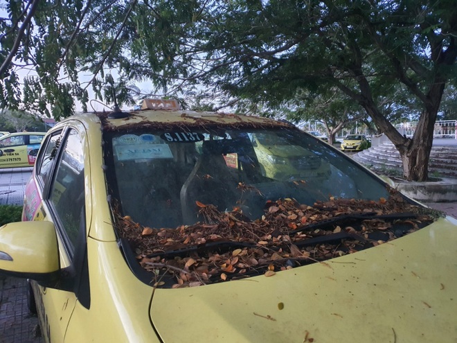 Tàu du lịch, taxi nằm xếp hàng dài dù được phép hoạt động trở lại - 13 Tàu du lịch, taxi nằm xếp hàng dài dù được phép hoạt động trở lại - 13
