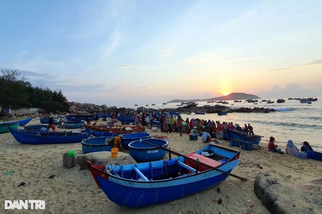 Mê đắm cảnh đẹp làng chài An Hải ở xứ Hoa vàng trên cỏ xanh - 2 Mê đắm cảnh đẹp làng chài An Hải ở xứ Hoa vàng trên cỏ xanh - 2