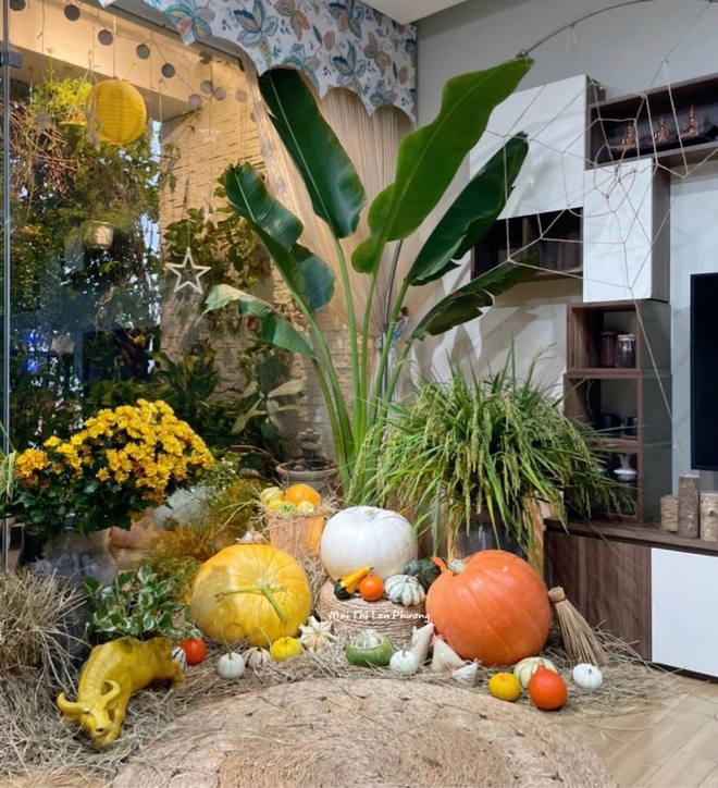 Người Hà Nội mua bí ngô khổng lồ trang trí Halloween sớm - 4 Người Hà Nội mua bí ngô khổng lồ trang trí Halloween sớm - 4