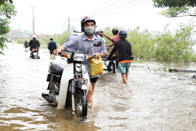 Lũ vẫn dâng cao, xe bò cõng xe máy vượt biển nước - 3 Lũ vẫn dâng cao, xe bò cõng xe máy vượt biển nước - 3
