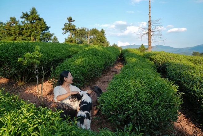 Cô gái cải tạo nhà từ đồ tái chế, làm vườn trồng rau sống điền viên - 14 Cô gái cải tạo nhà từ đồ tái chế, làm vườn trồng rau sống điền viên - 14