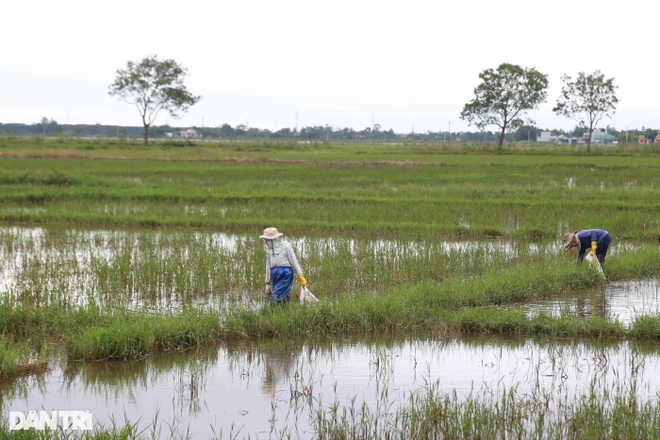 Thợ xây thất nghiệp vì Covid-19, chuyển nghề đánh cá vẫn vật vã qua ngày - 8 Thợ xây thất nghiệp vì Covid-19, chuyển nghề đánh cá vẫn vật vã qua ngày - 8