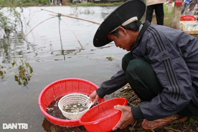 Thợ xây thất nghiệp vì Covid-19, chuyển nghề đánh cá vẫn vật vã qua ngày - 3 Thợ xây thất nghiệp vì Covid-19, chuyển nghề đánh cá vẫn vật vã qua ngày - 3
