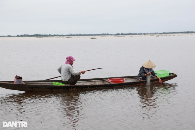 Thợ xây thất nghiệp vì Covid-19, chuyển nghề đánh cá vẫn vật vã qua ngày - 5 Thợ xây thất nghiệp vì Covid-19, chuyển nghề đánh cá vẫn vật vã qua ngày - 5
