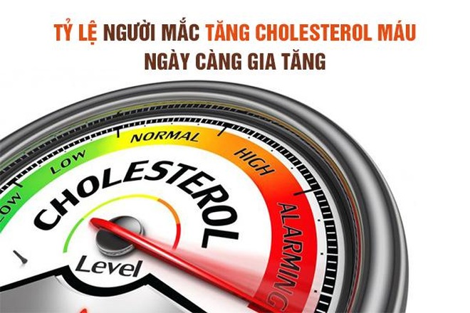 Hỗ trợ giảm cholesterol máu nhờ sản phẩm Lipidcleanz - 1