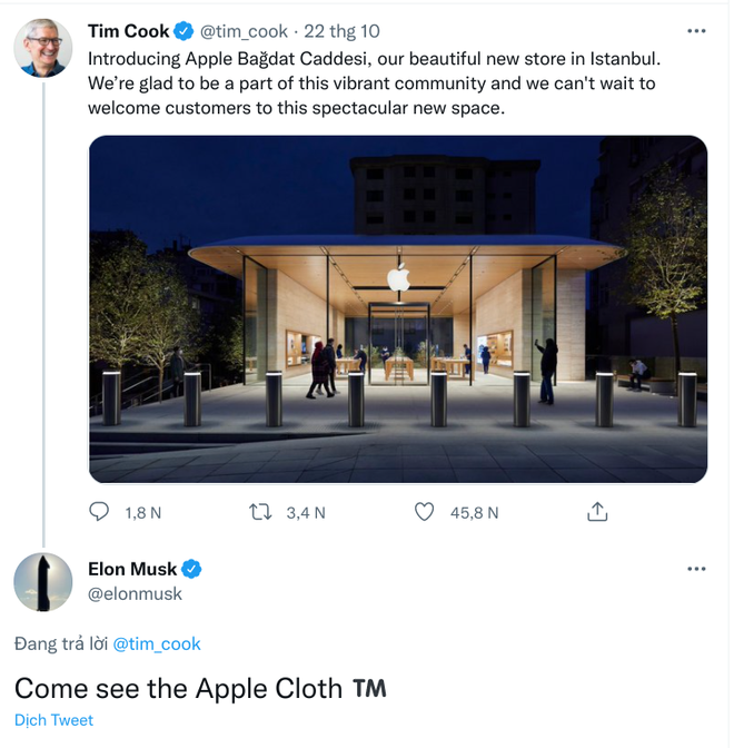 Elon Musk cà khịa Apple về tấm khăn lau giá trên trời - 1